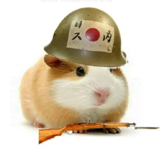 Стикер Больше стиков тут: @stikery4 - 10