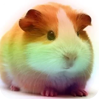 Стикер Больше стиков тут: @stikery4 - 7