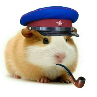 Стикер Больше стиков тут: @stikery4 - 3