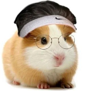 Стикер Больше стиков тут: @stikery4 - 8