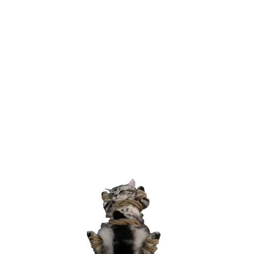 Стикер set_435_by_makestick3_bot - 1