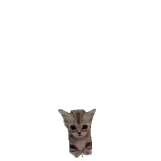 Sticker Больше стиков тут: @stikery4 - 5