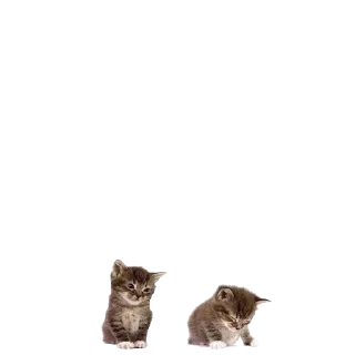 Sticker Больше стиков тут: @stikery4 - 1