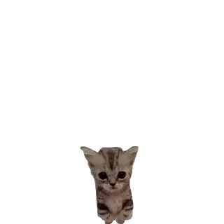 Sticker Больше стиков тут: @stikery4 - 9