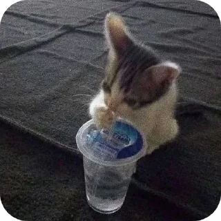 Sticker Больше стиков тут: @stikery4 - 9