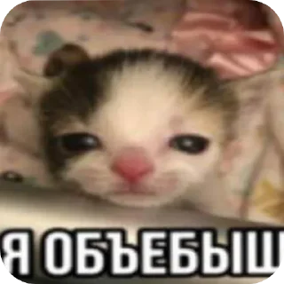 Sticker Больше стиков тут: @stikery4 - 1