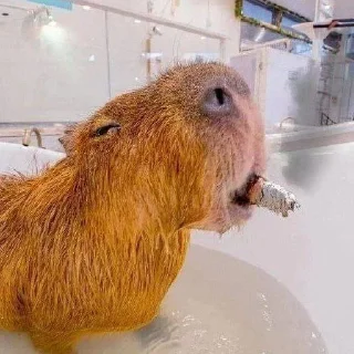 Sticker Больше стиков тут: @stikery4 - 4