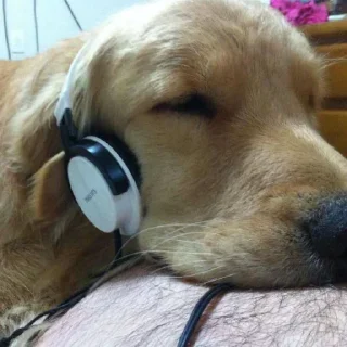 Sticker Больше стиков тут: @stikery4 - 7