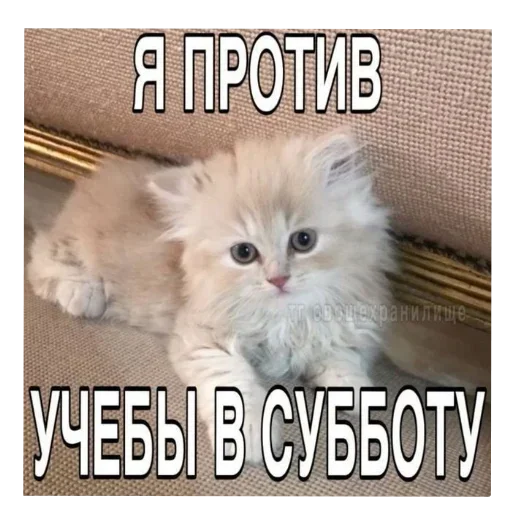 Sticker set_473_by_makestick3_bot - 1