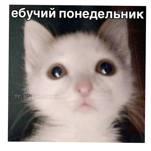 Sticker set_473_by_makestick3_bot - 1