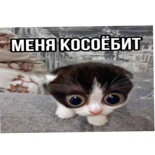 Sticker set_473_by_makestick3_bot - 1