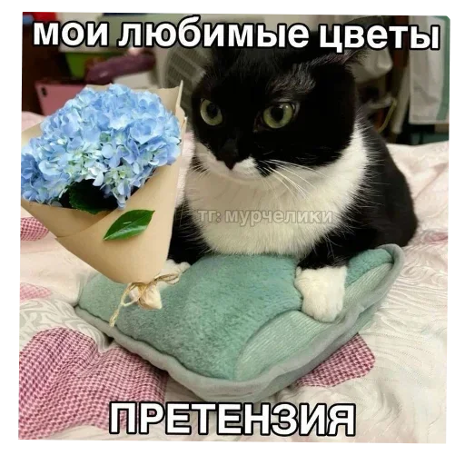 Sticker set_473_by_makestick3_bot - 1