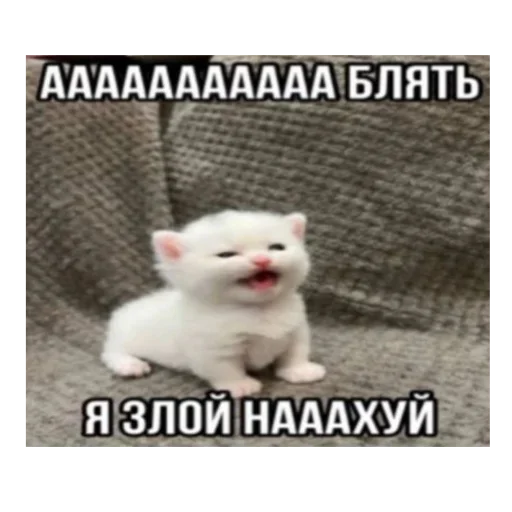 Sticker set_473_by_makestick3_bot - 1