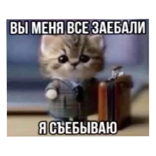 Стикер Больше стиков тут: @stikery4 - 3