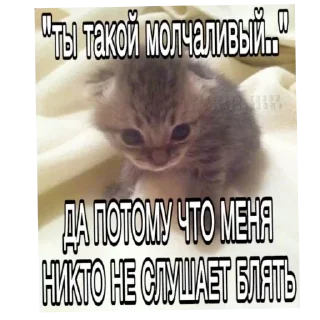 Стикер Больше стиков тут: @stikery4 - 7