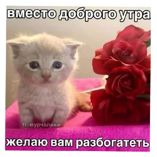 Стикер Больше стиков тут: @stikery4 - 11