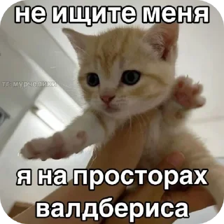 Стикер Больше стиков тут: @stikery4 - 6