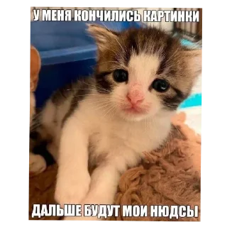 Стикер Больше стиков тут: @stikery4 - 9