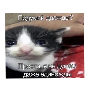 Стикер Больше стиков тут: @stikery4 - 1