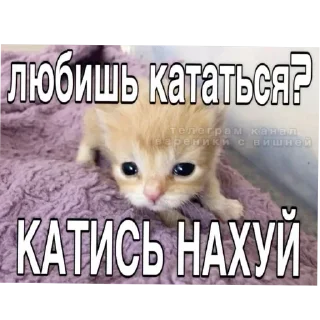 Стикер Больше стиков тут: @stikery4 - 8