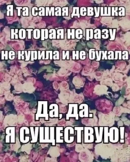 Sticker Больше стиков тут: @stikery4 - 4