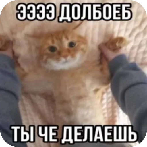 Sticker set_497_by_makestick3_bot - 1