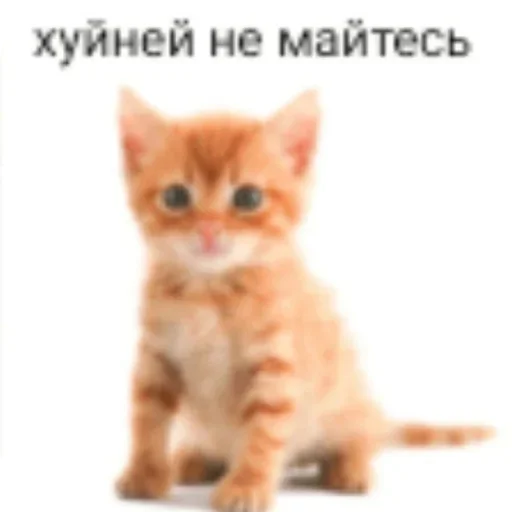 Стикер set_497_by_makestick3_bot - 1