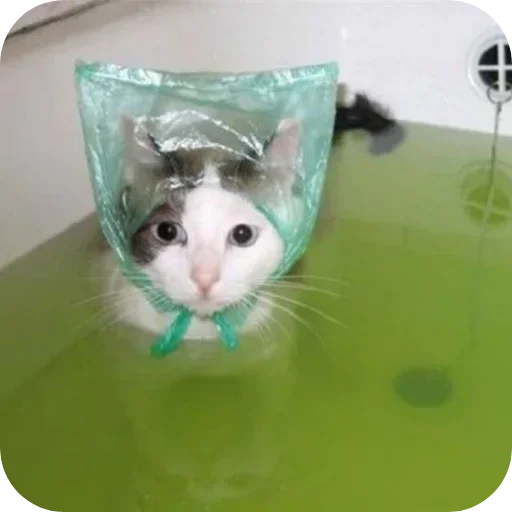 Sticker set_497_by_makestick3_bot - 1