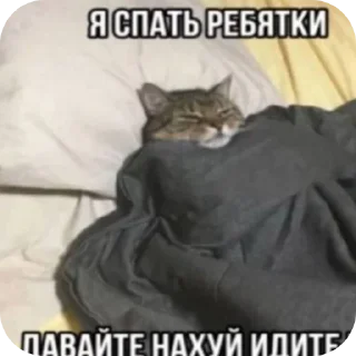 Стикер Больше стиков тут: @stikery4 - 7