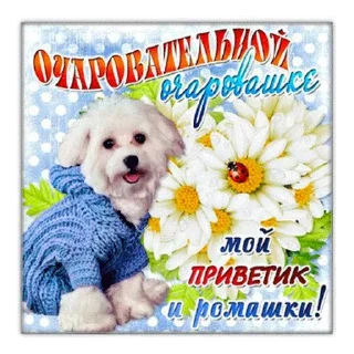 Стикер Больше стиков тут: @stikery4 - 2