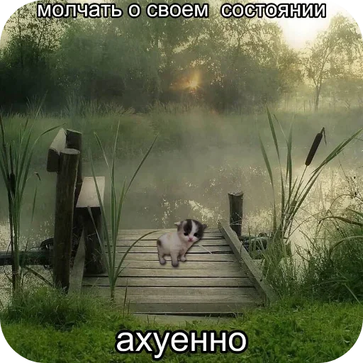 Больше стиков тут: @stikery4 - 