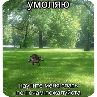 Стикер Больше стиков тут: @stikery4 - 0