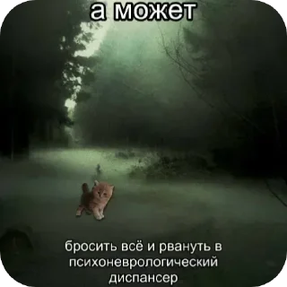 Стикер Больше стиков тут: @stikery4 - 10