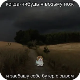 Стикер Больше стиков тут: @stikery4 - 3