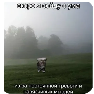 Стикер Больше стиков тут: @stikery4 - 8