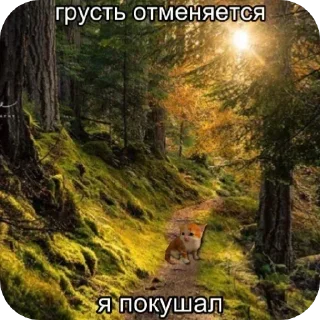 Стикер Больше стиков тут: @stikery4 - 2