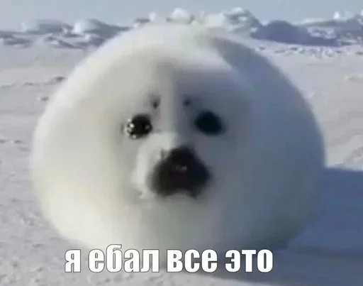 Больше стиков тут: @stikery4 - 