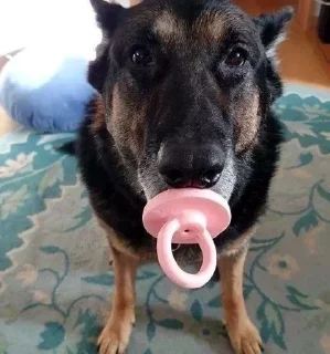 Sticker Больше стиков тут: @stikery4 - 2