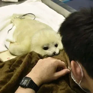 Sticker Больше стиков тут: @stikery4 - 7