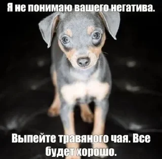 Sticker Больше стиков тут: @stikery4 - 6