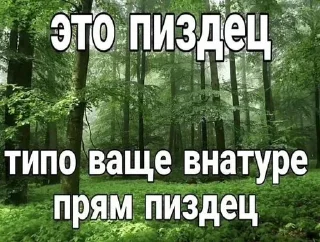 Sticker Больше стиков тут: @stikery4 - 6