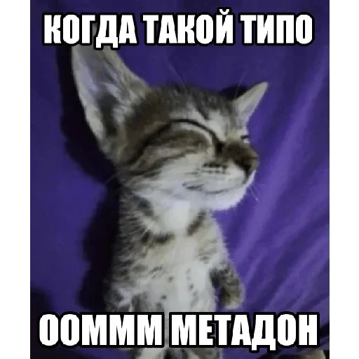 Больше стиков тут: @stikery4 - 