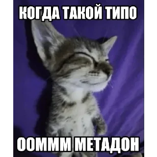 Стикер Больше стиков тут: @stikery4 - 7