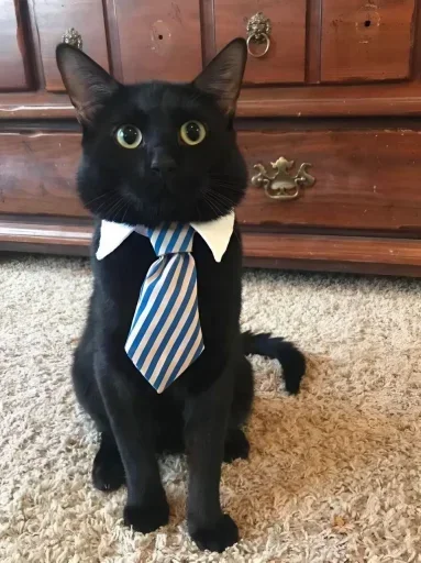 Больше стиков тут: @stikery4 - 