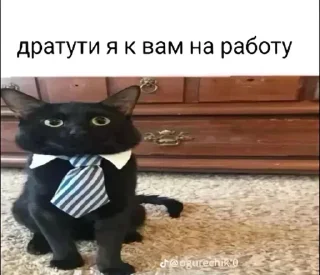 Стикер Больше стиков тут: @stikery4 - 9