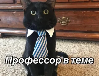 Стикер Больше стиков тут: @stikery4 - 0