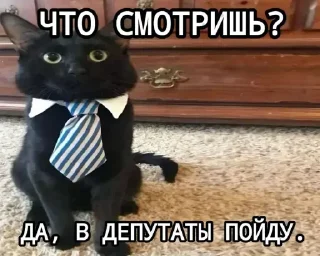 Стикер Больше стиков тут: @stikery4 - 3