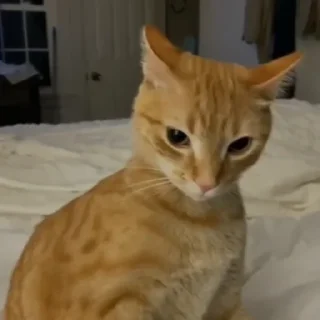 Sticker Больше стиков тут: @stikery4 - 2