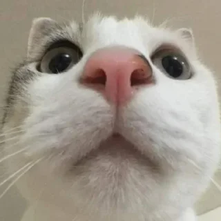 Sticker Больше стиков тут: @stikery4 - 0