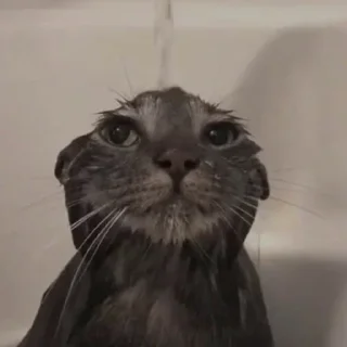 Sticker Больше стиков тут: @stikery4 - 1